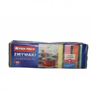 GABKA DO ZMYWANIA A10